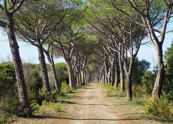 Tenuta San Carlo * Marina di Grosseto