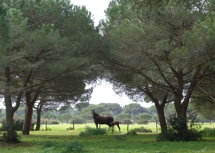 Tenuta San Carlo *