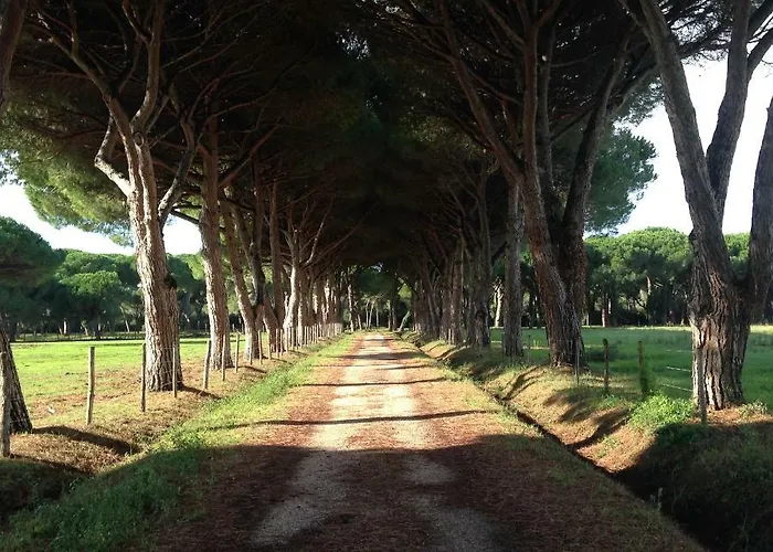 Tenuta San Carlo Vakantieboerderij