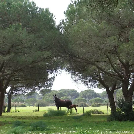 Tenuta San Carlo *