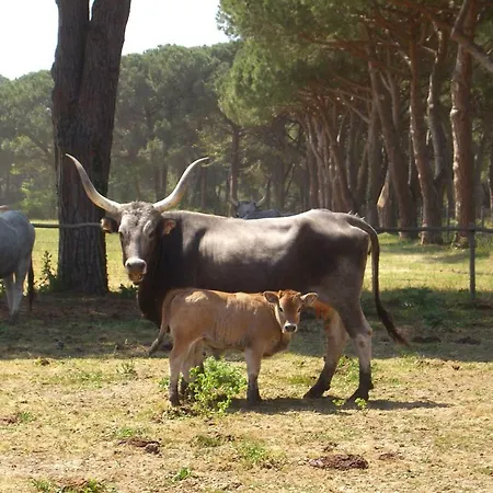Tenuta San Carlo Farm stay Marina di Grosseto